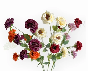 F0480 Camellia / Garden Rose Spray 81cm 5 Colour (SPECIAL) outdoor greenery  