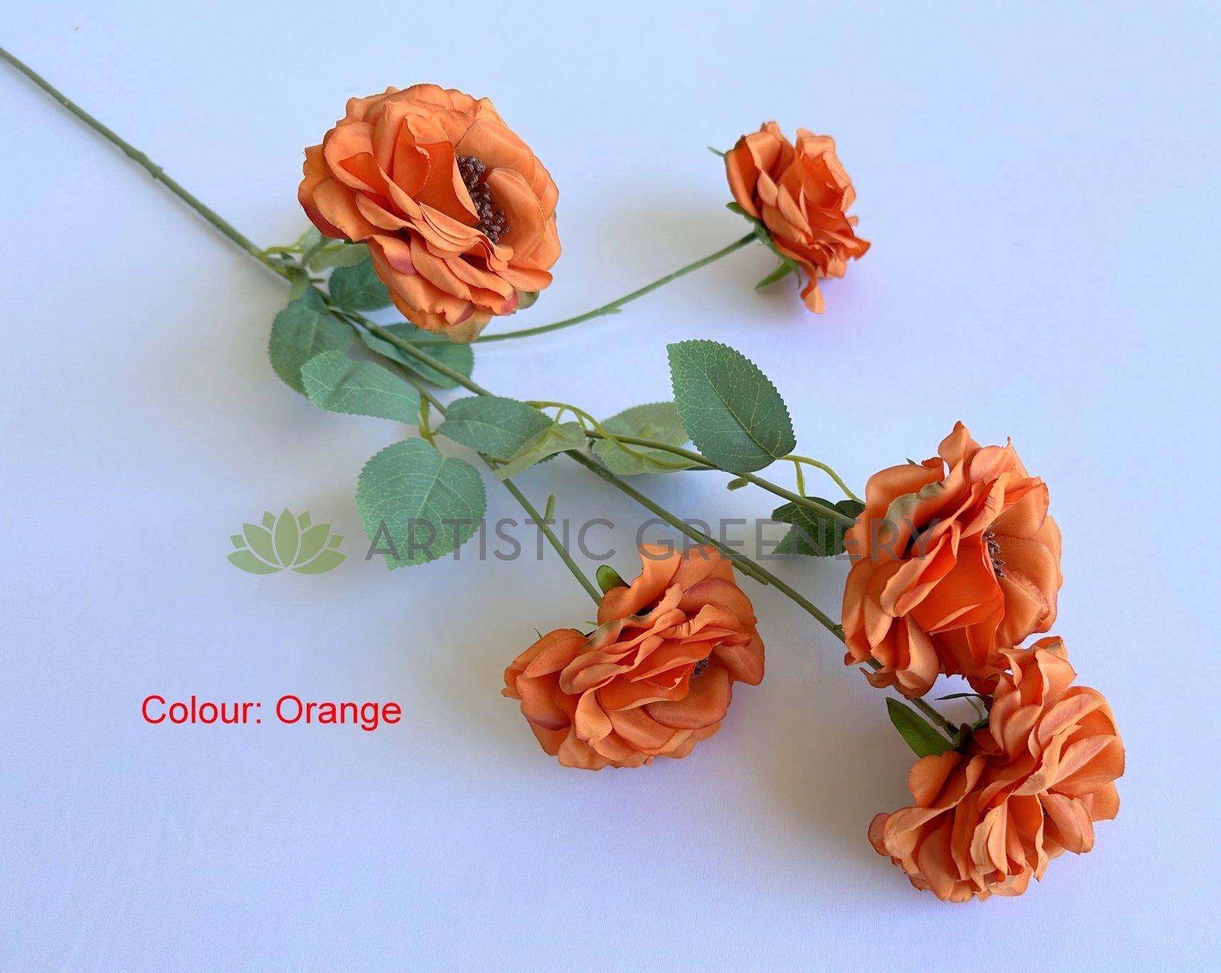 F0480 Camellia / Garden Rose Spray 81cm 5 Colour (SPECIAL)
