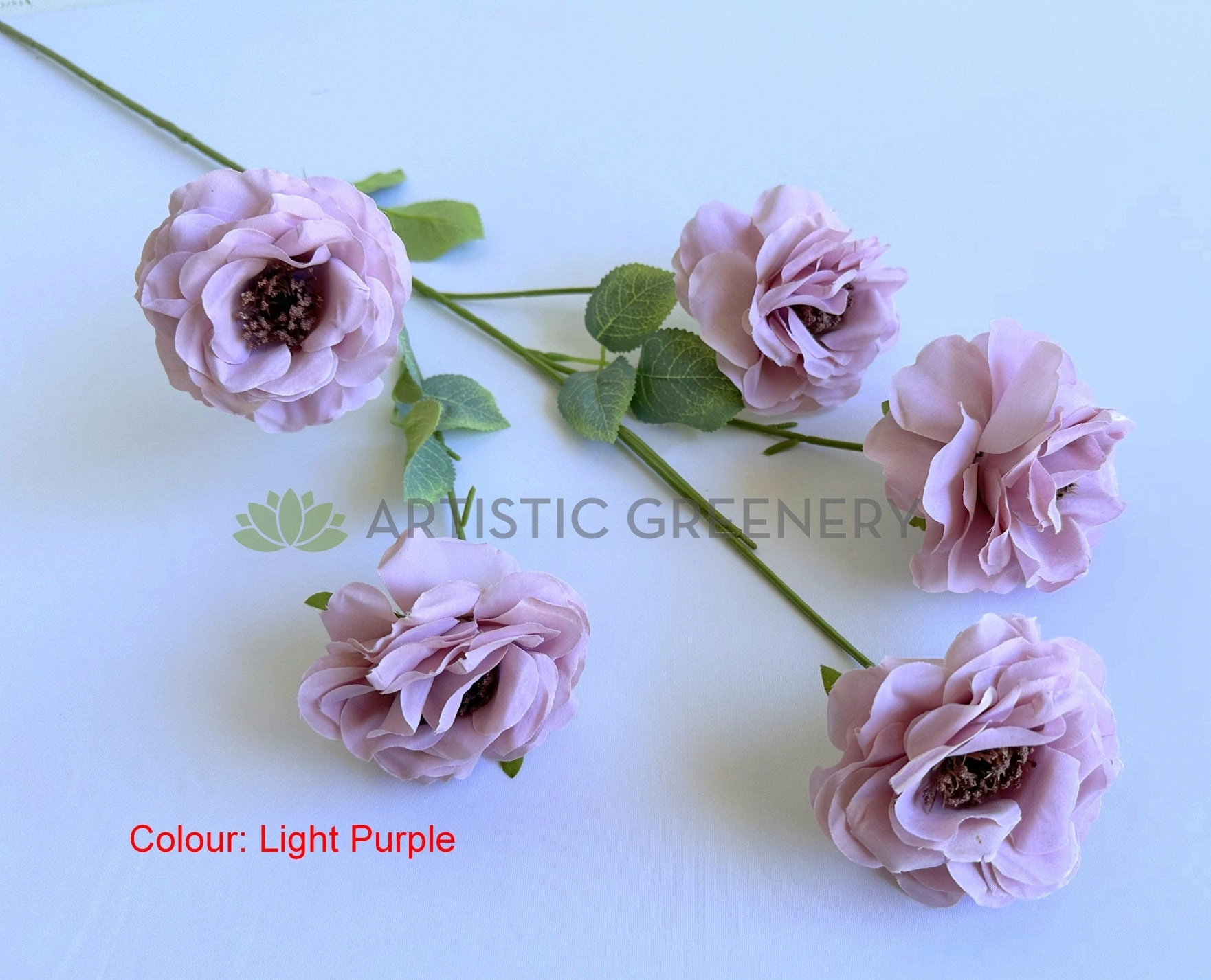 F0480 Camellia / Garden Rose Spray 81cm 5 Colour (SPECIAL)