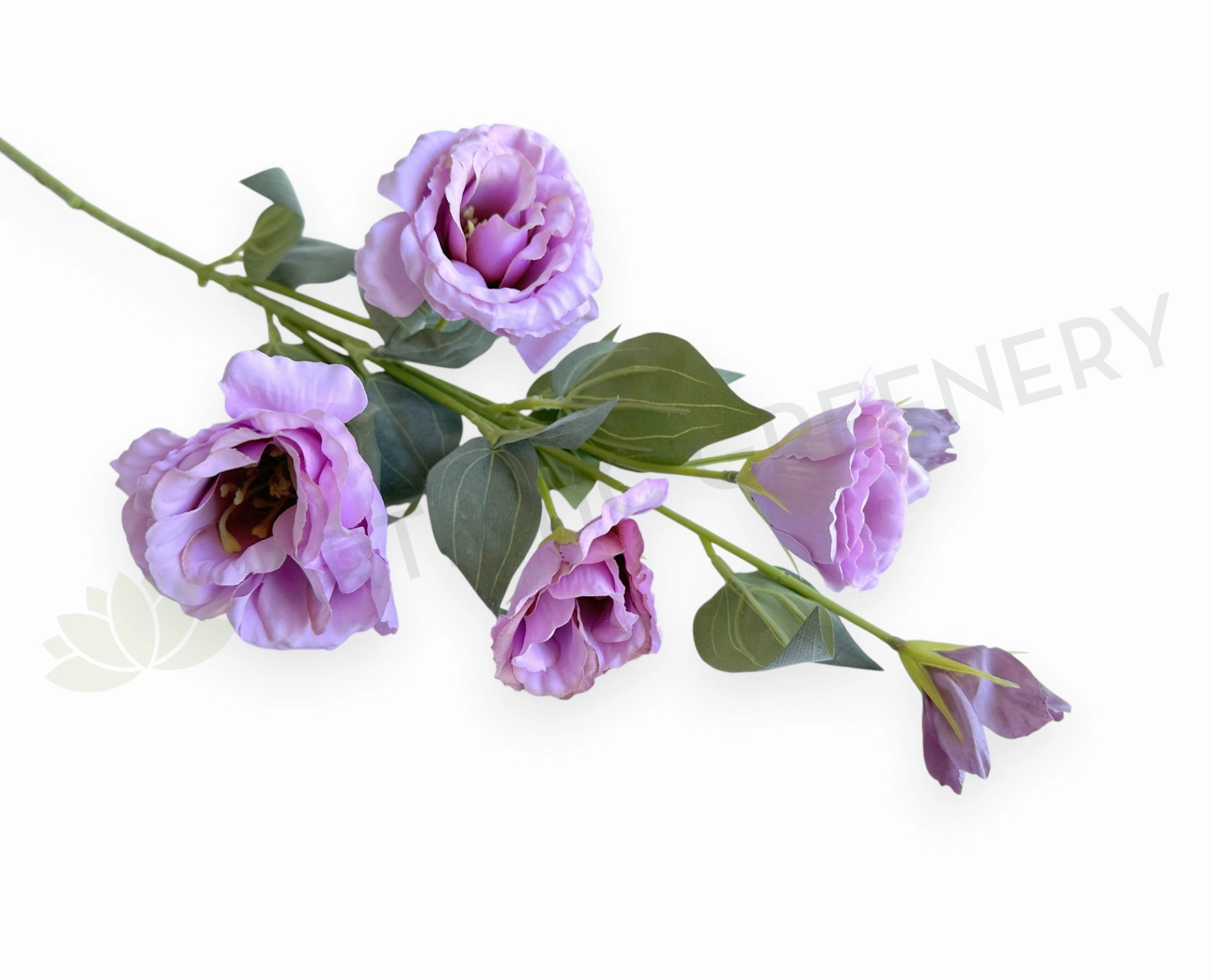 F0481 Lisianthus Spray 80cm Lilac SPECIAL outdoor greenery  