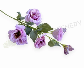 F0481 Lisianthus Spray 80cm Lilac SPECIAL outdoor greenery  