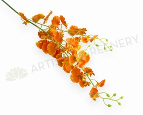 F0482 Oncidium / Dancing Orchid 85cm Orange (SPECIAL) outdoor greenery  