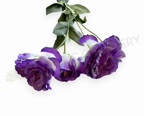 F0488 Lisianthus Spray 69cm Purple & White outdoor greenery  