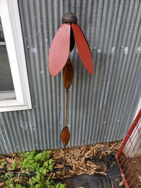 F10 decorative plants  