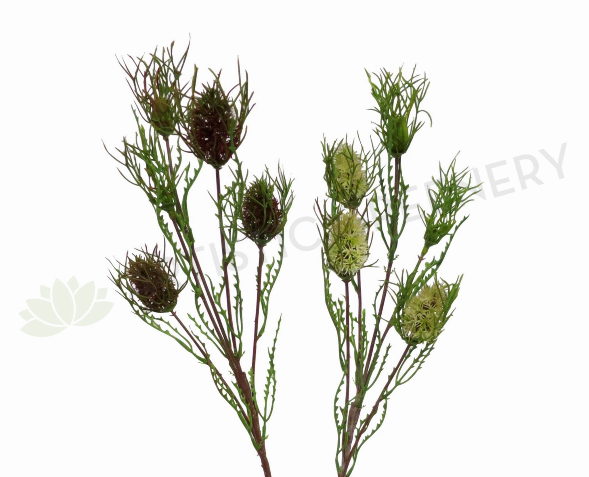 F-ASB-B05 Mini Banksia 69cm Green / Red outdoor greenery  