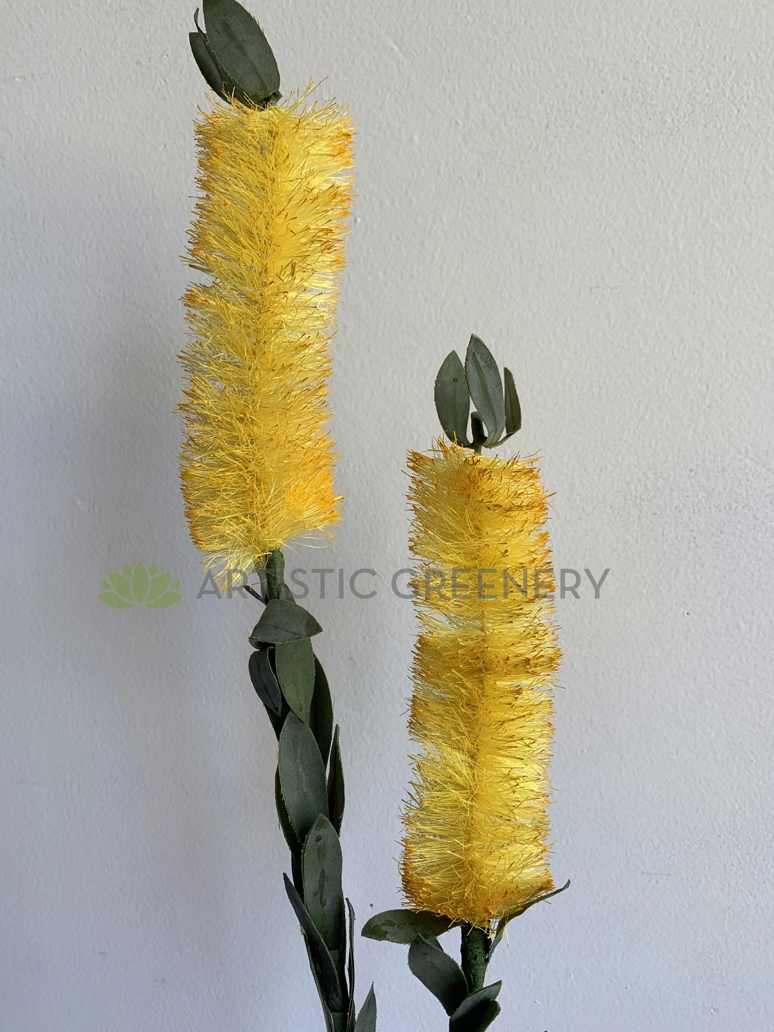 F-ASB-B-01 Bottle Brush 75cm Cream