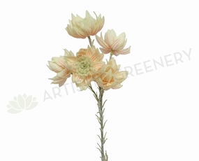 F-ASB-BB01 Blushing Bride 66cm outdoor greenery  