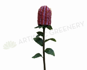 F-ASB-CB01 Coccinea Banksia 64cm Red outdoor greenery  
