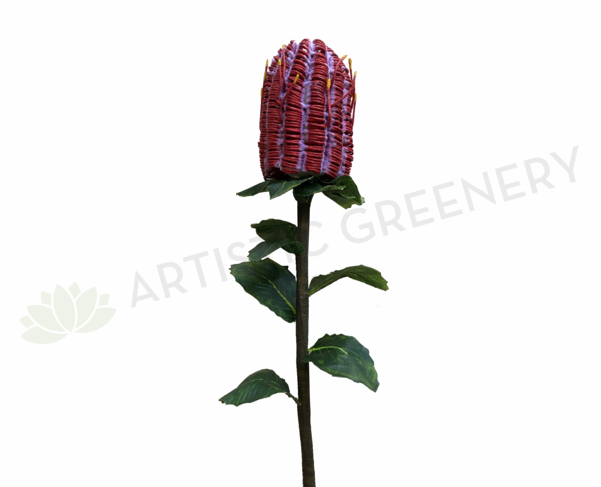 F-ASB-CB01 Coccinea Banksia 64cm Red outdoor greenery  