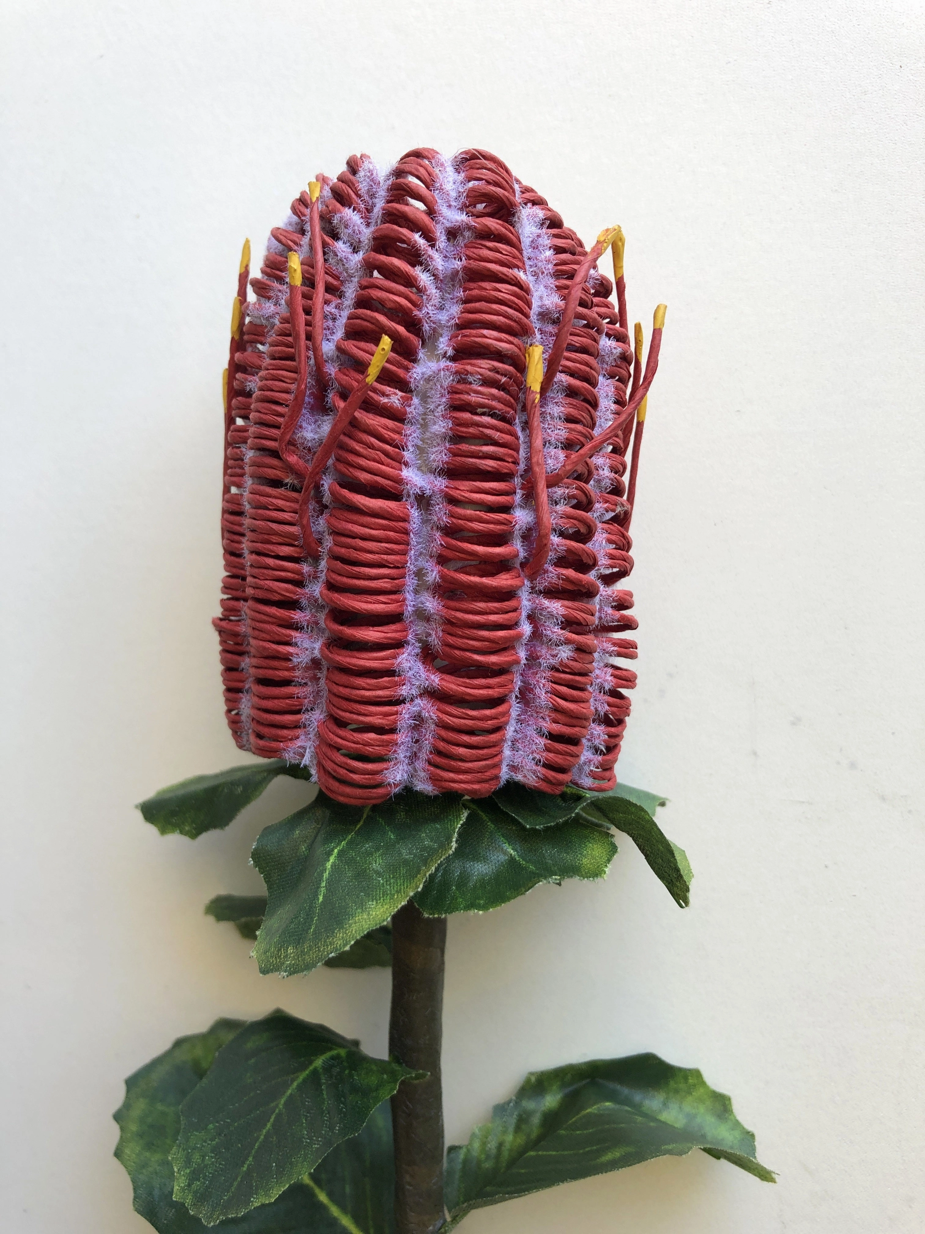 F-ASB-CB01 Coccinea Banksia 64cm Red