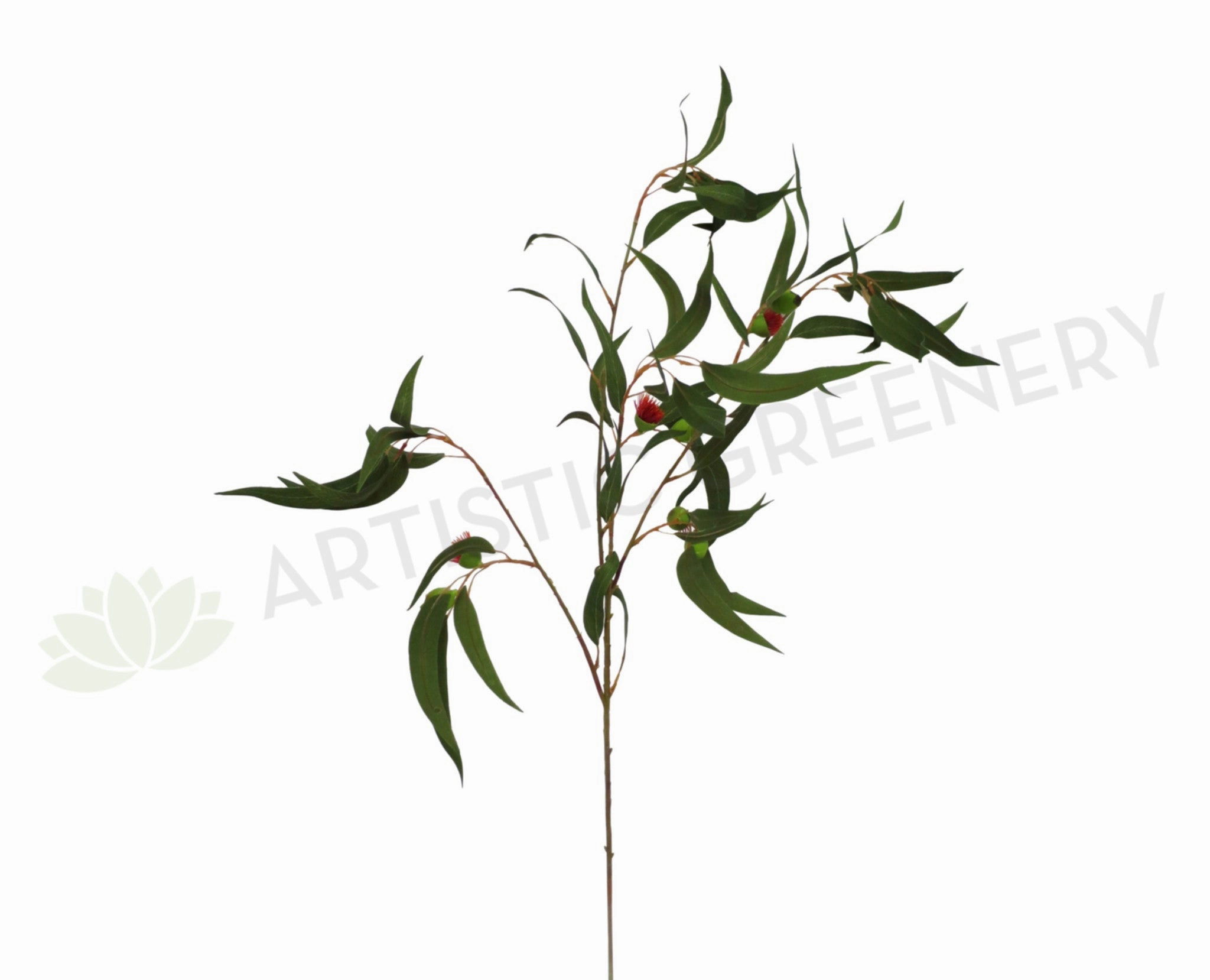 F-ASB-GB10GREEN Gum Blossom / Eucalyptus Branch Green 98cm with Nuts (Real Touch) outdoor greenery  