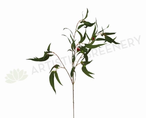 F-ASB-GB10GREEN Gum Blossom / Eucalyptus Branch Green 98cm with Nuts (Real Touch) outdoor greenery  