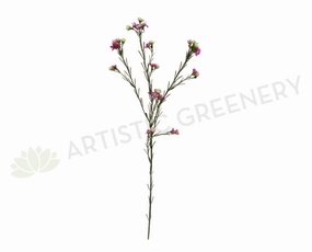 F-ASB-GW02 Geraldton Wax 73cm outdoor greenery  