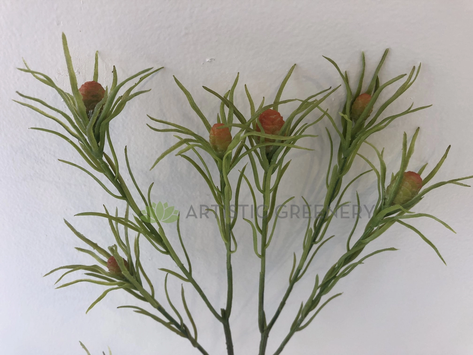 F-ASB-L-25 Leucadendron 65cm Green