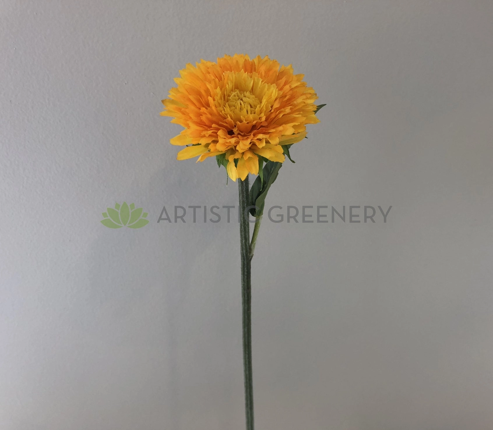 F-ASB-PD-05 Paper Daisy 50cm Yellow