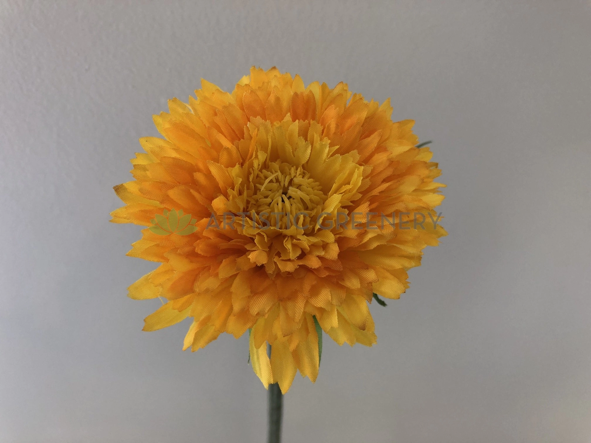 F-ASB-PD-05 Paper Daisy 50cm Yellow