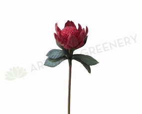 F-ASB-W-01 Waratah Real Touch 79cm Red outdoor greenery  