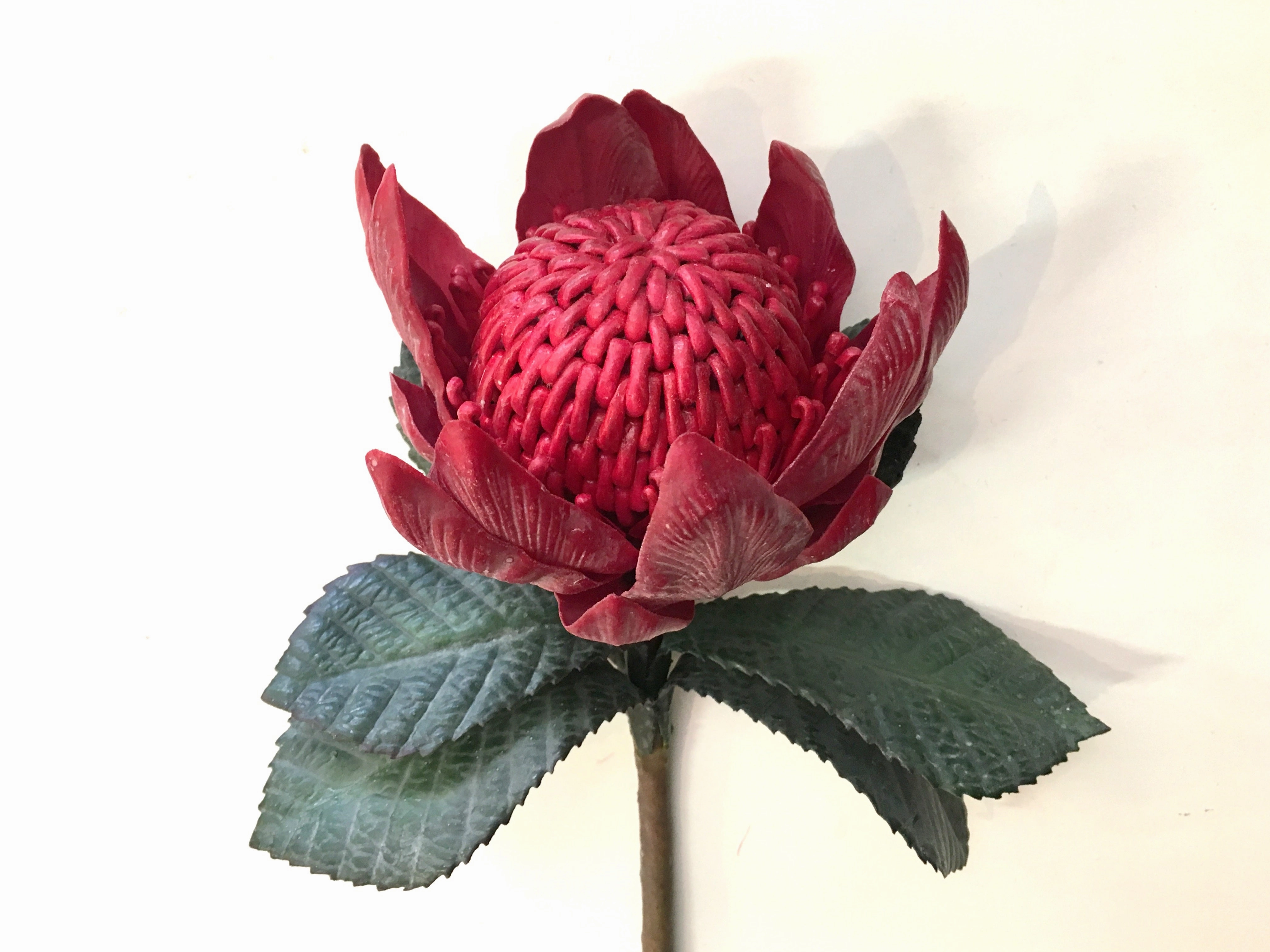 F-ASB-W-01 Waratah Real Touch 79cm Red