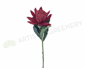 F-ASB-W-03 Waratah 66cm Red outdoor greenery  