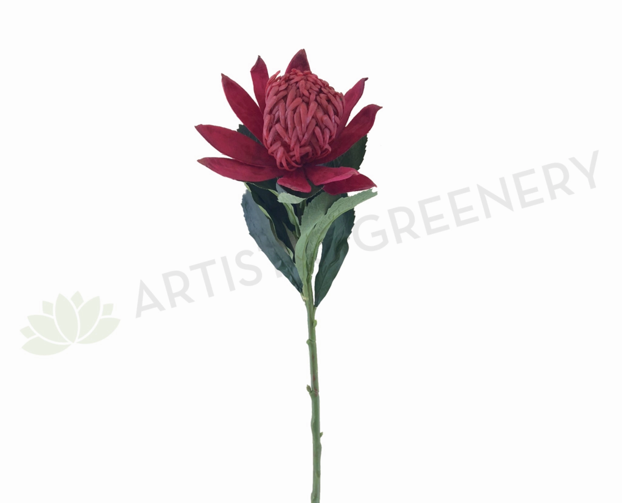 F-ASB-W-03 Waratah 66cm Red outdoor greenery  