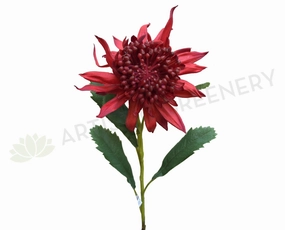 F-ASB-W-04 Waratah 69cm Red outdoor greenery  