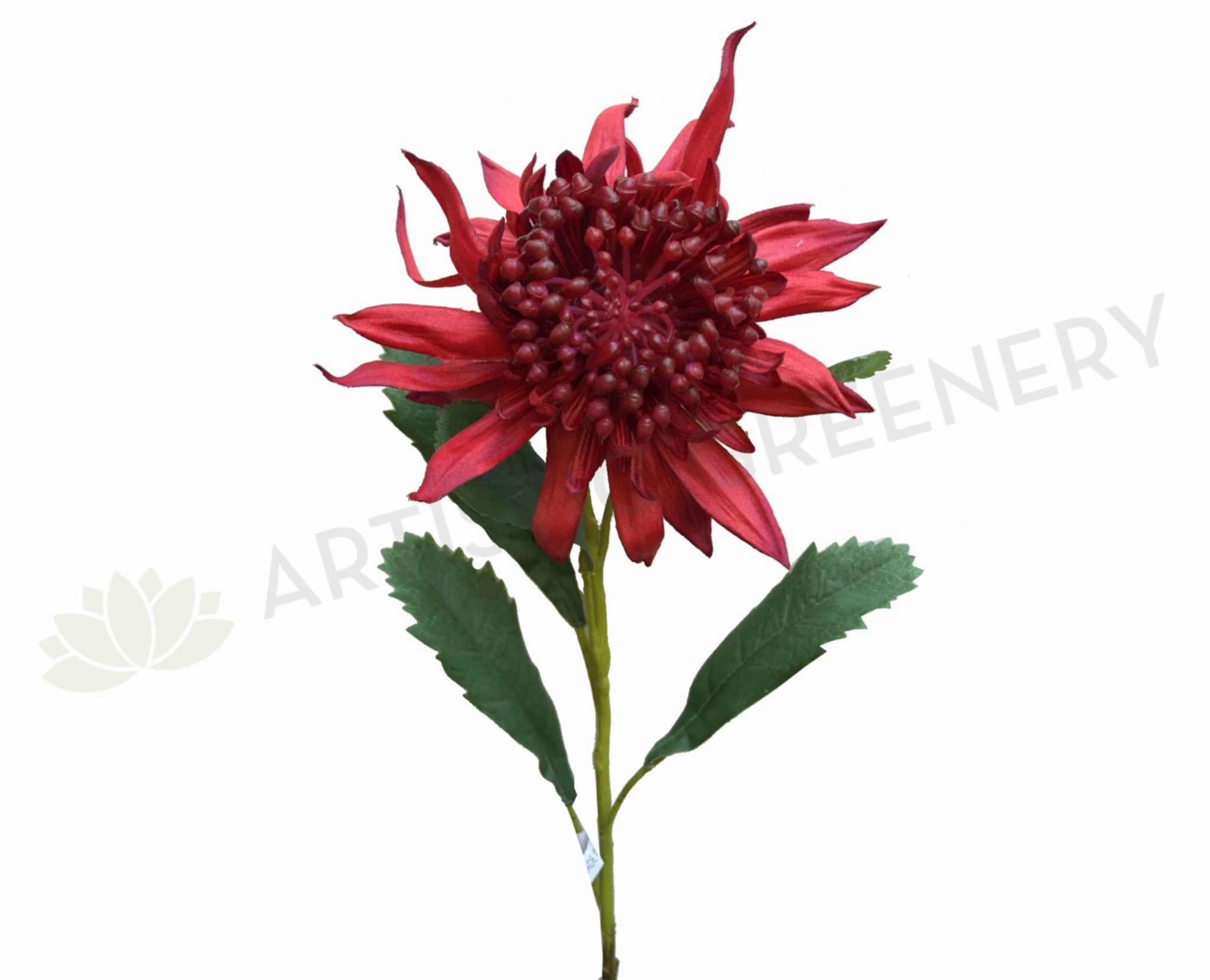 F-ASB-W-04 Waratah 69cm Red outdoor greenery  