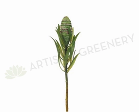F-FI4909GR Protea Leucadendron Cone 45cm outdoor greenery  