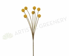 F-FI6375YE Craspedia / Billy Button 62cm Yellow outdoor greenery  