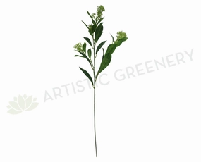F-RT-5448CRGR Skimmia Spray 72cm Green xl flower pot  