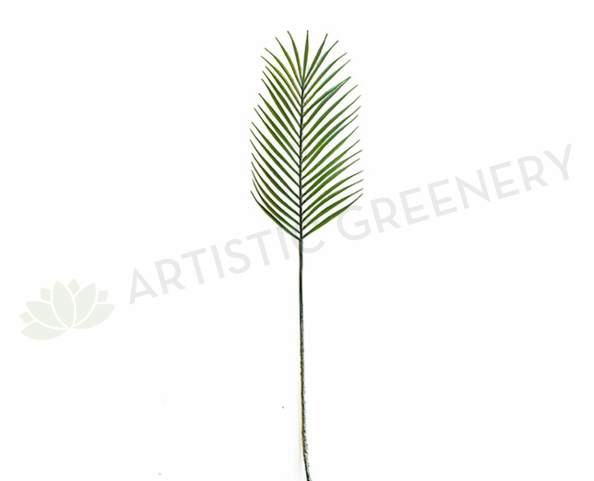 F-RT-5765 Single Palm Leaf 74cm xl flower pot  