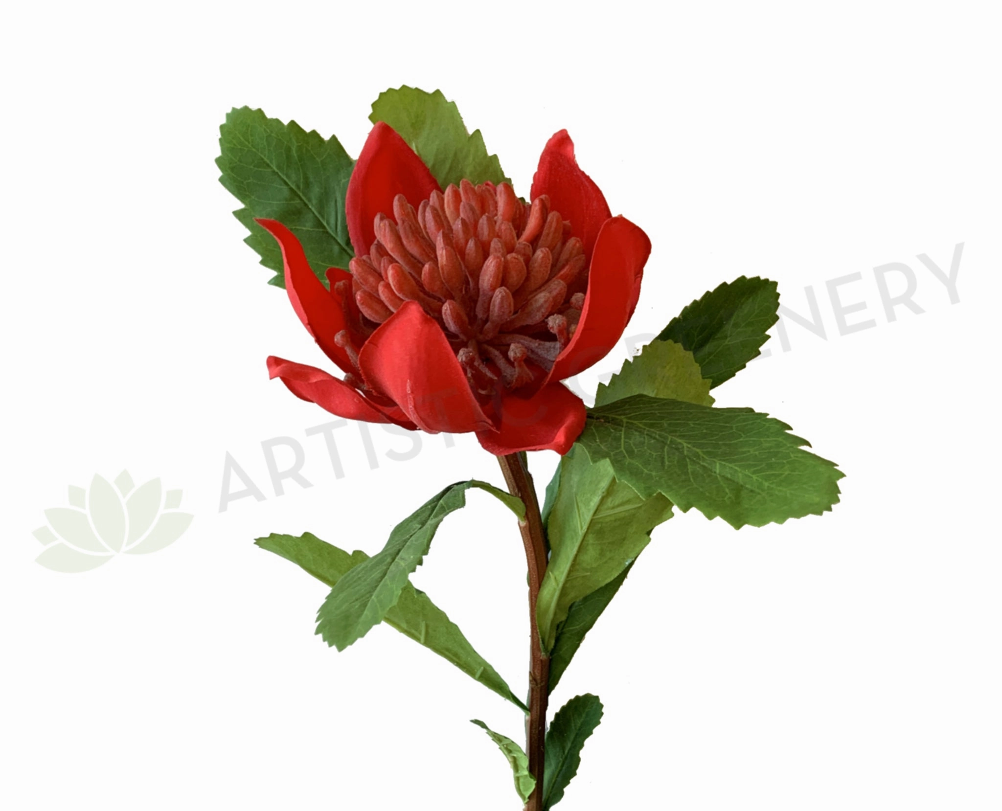 F-RT-6434 Waratah Spray 55cm Red outdoor greenery  