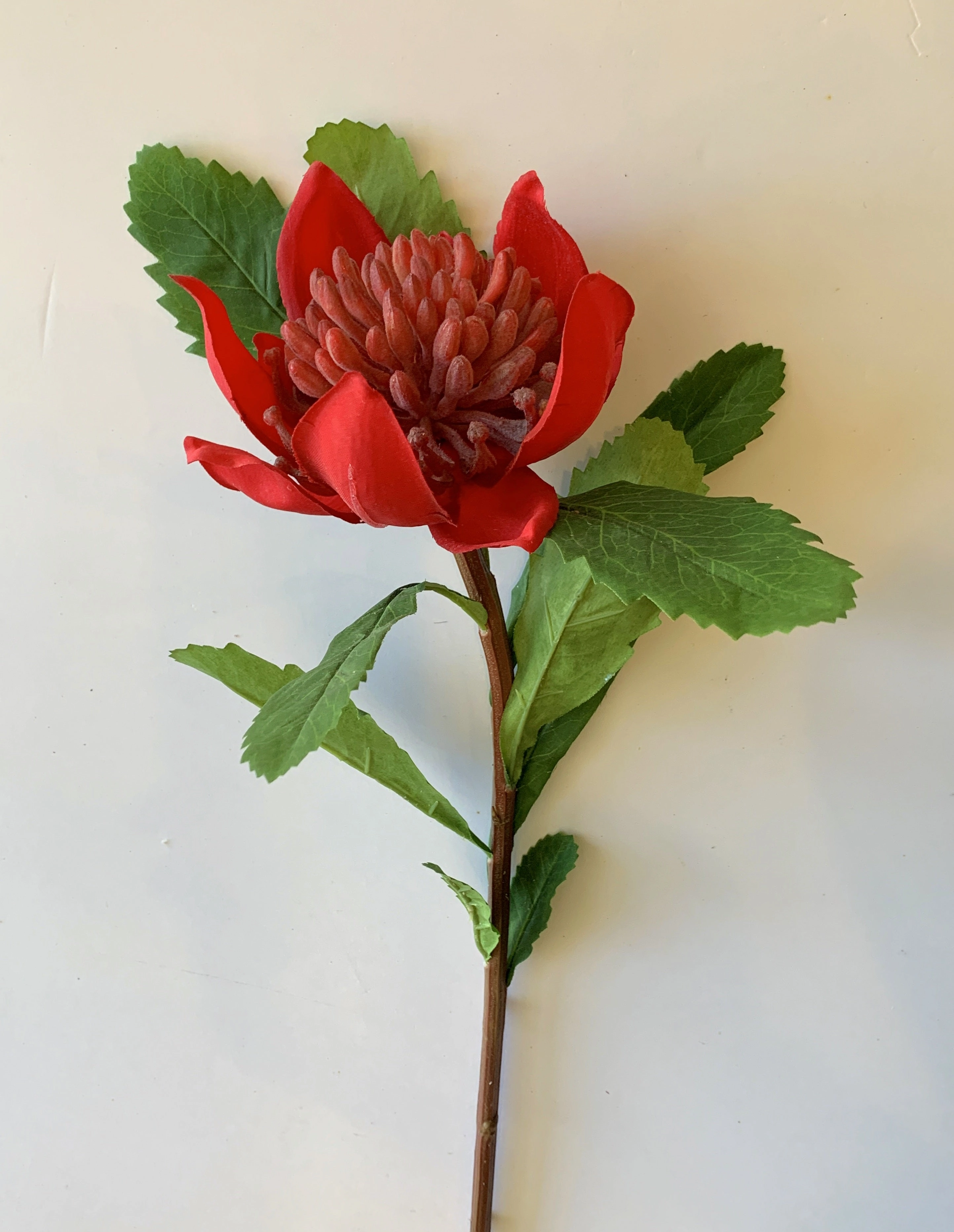 F-RT-6434 Waratah Spray 55cm Red