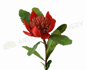 F-RT-6434 Waratah Spray 55cm Red outdoor greenery  