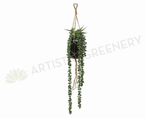 FA1062 - Macrame Hanging String of Pearls in Mason Jar (50cm Length) summer vegetable seed  