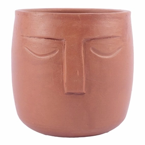 Face Design Planter cactus succulent plant  