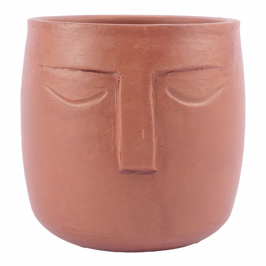 Face Design Planter cactus succulent plant  