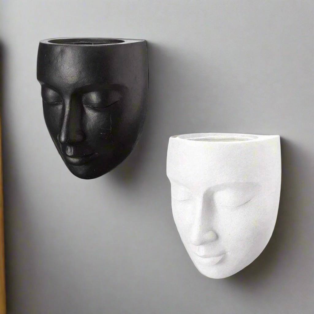 Face Wall Pot plant seeds  