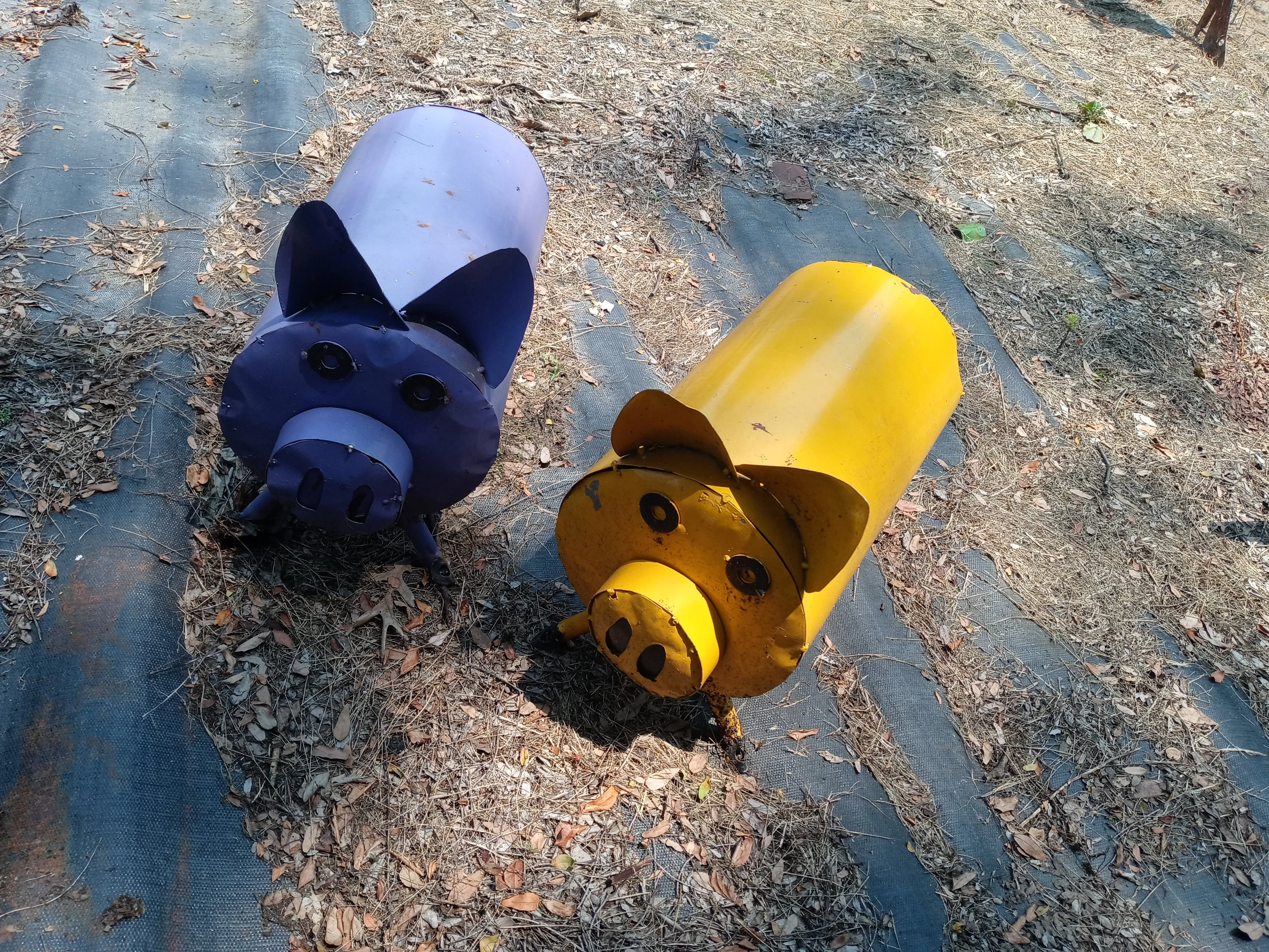 Fat Colorful Pig