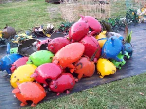 Fat Colorful Pig decorative plants  