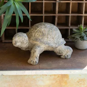 Faux Concrete Turtle dried flowers  