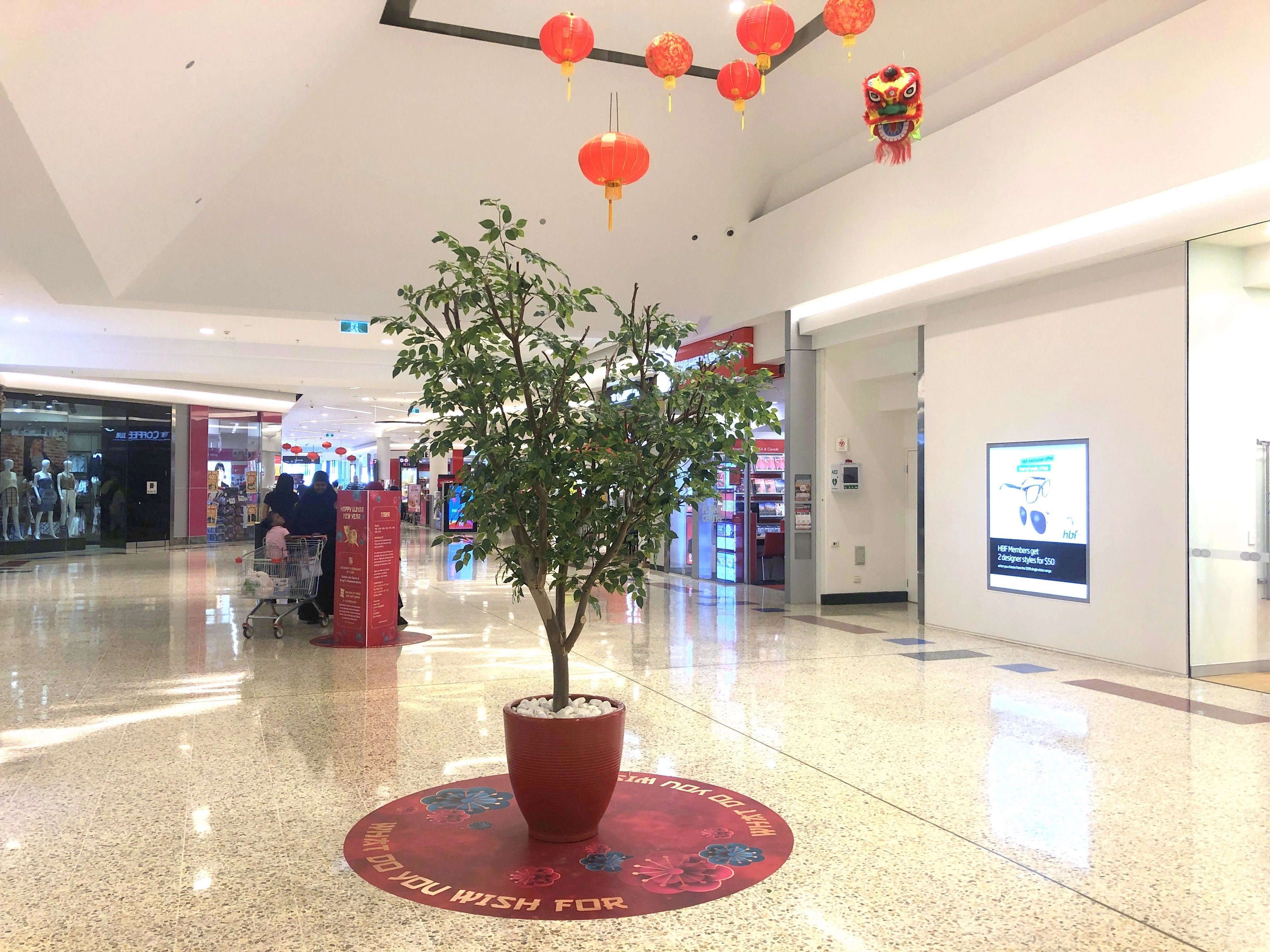Faux Ficus Tree / Canopy Tree 270cm Purchase or Hire