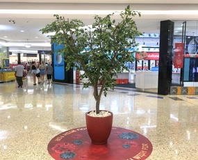 Faux Ficus Tree / Canopy Tree 270cm Purchase or Hire sun perennial  