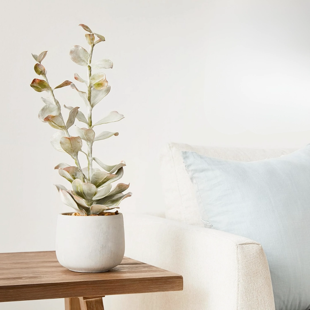 Faux Succulent In Cement Pot xl flower pot  