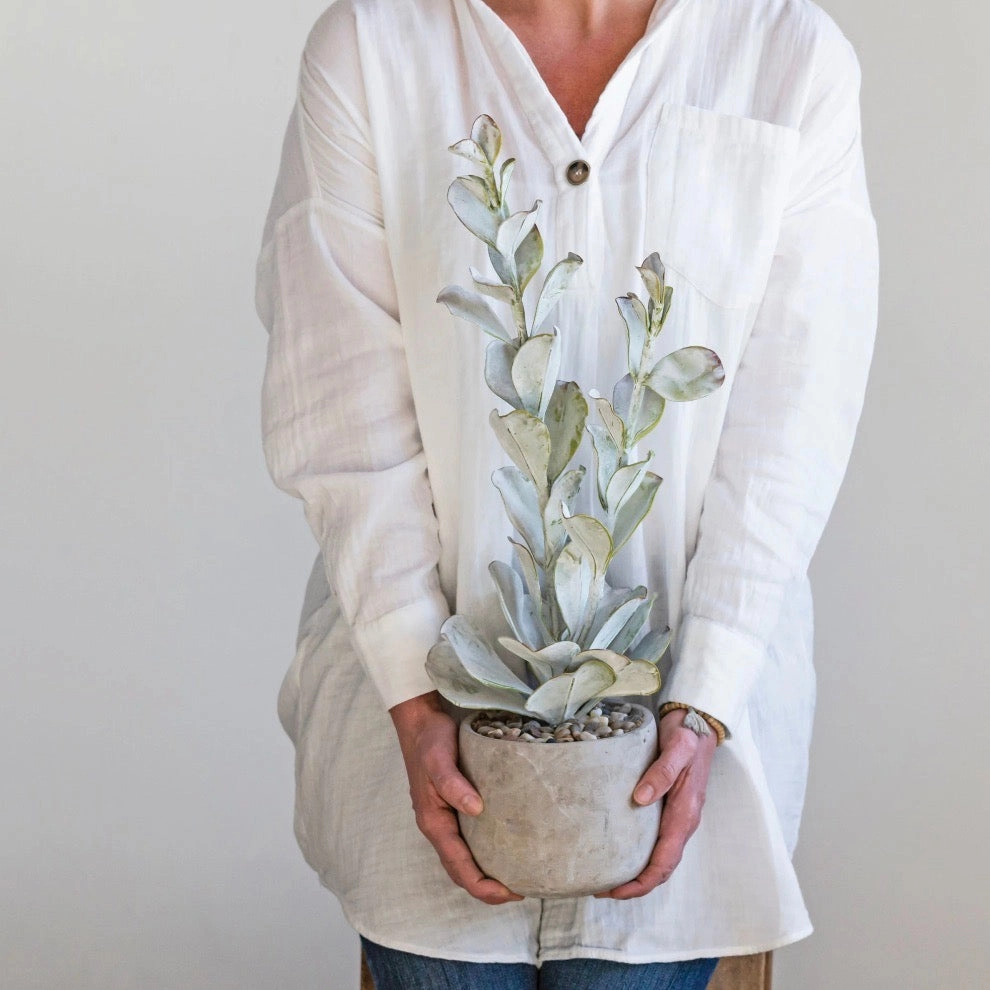 Faux Succulent In Cement Pot
