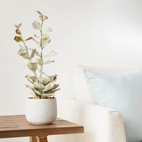 Faux Succulent In Cement Pot xl flower pot  