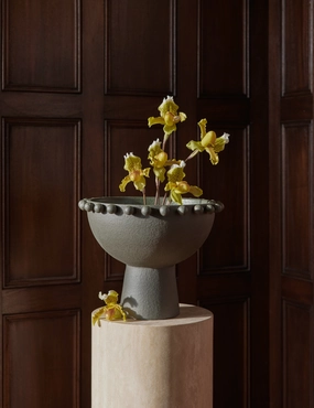 Fayette Bowl by Aimee Song mini ornamental plant  