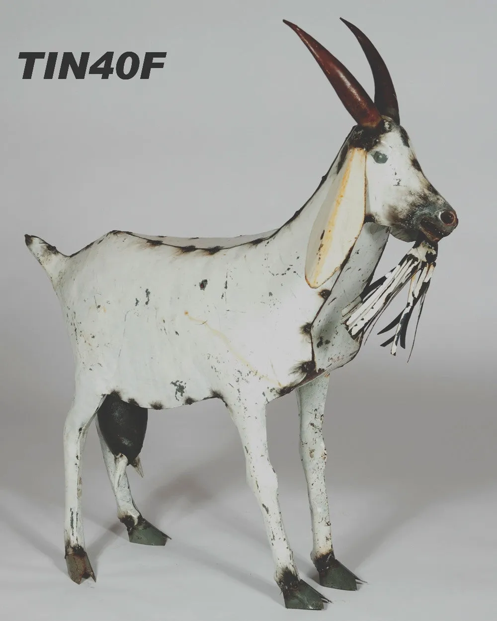 Female Goat decorative plants  