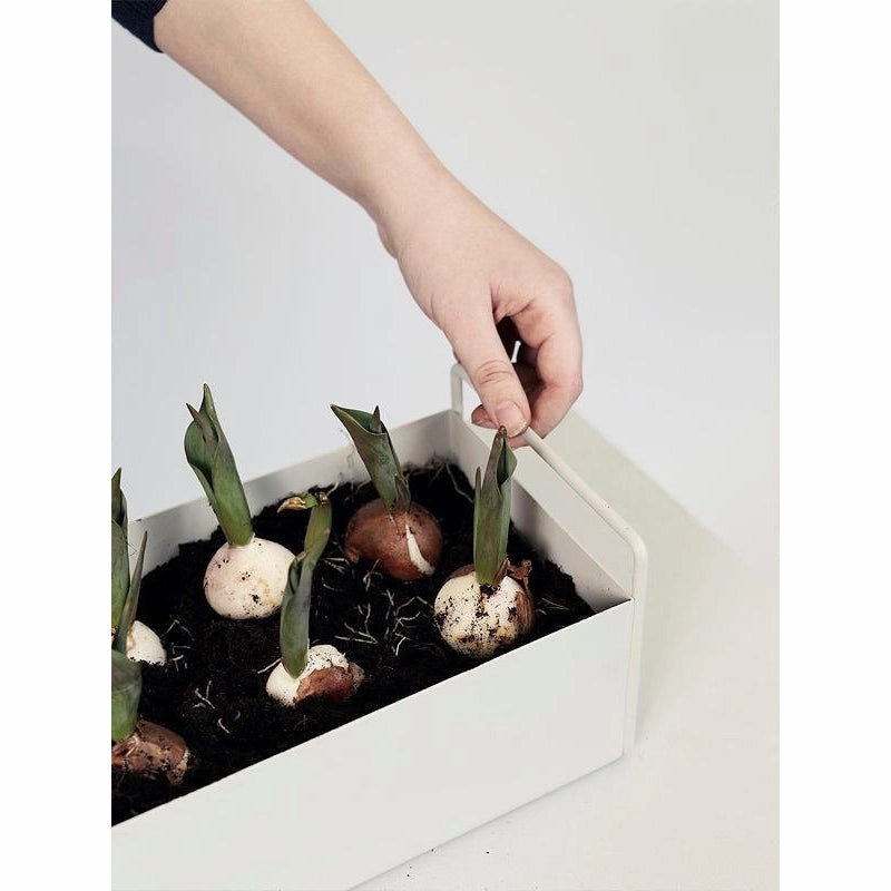 Ferm Living Plant Box Light Grey, 14cm