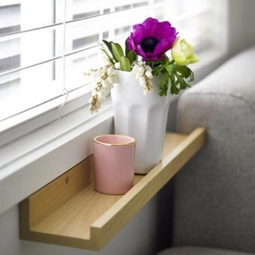 Floating Ledge Shelf For Planter/Artefacts On Wall By Miza cactus succulent plant  