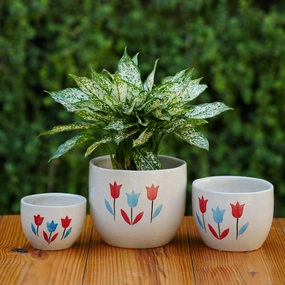 Floral Painted Ceramic Planter cactus succulent plant  